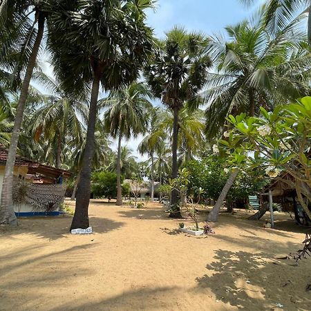 Araliya Villa คัลพิทิยา ภายนอก รูปภาพ