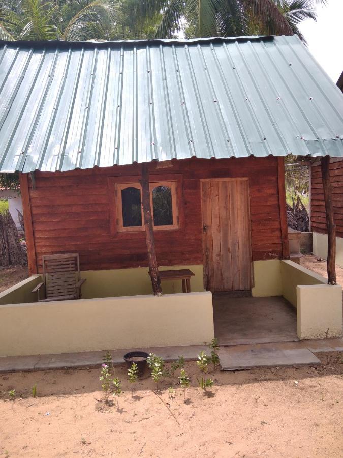 Araliya Villa คัลพิทิยา ภายนอก รูปภาพ