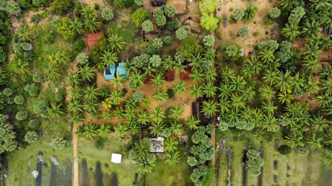 Araliya Villa คัลพิทิยา ภายนอก รูปภาพ