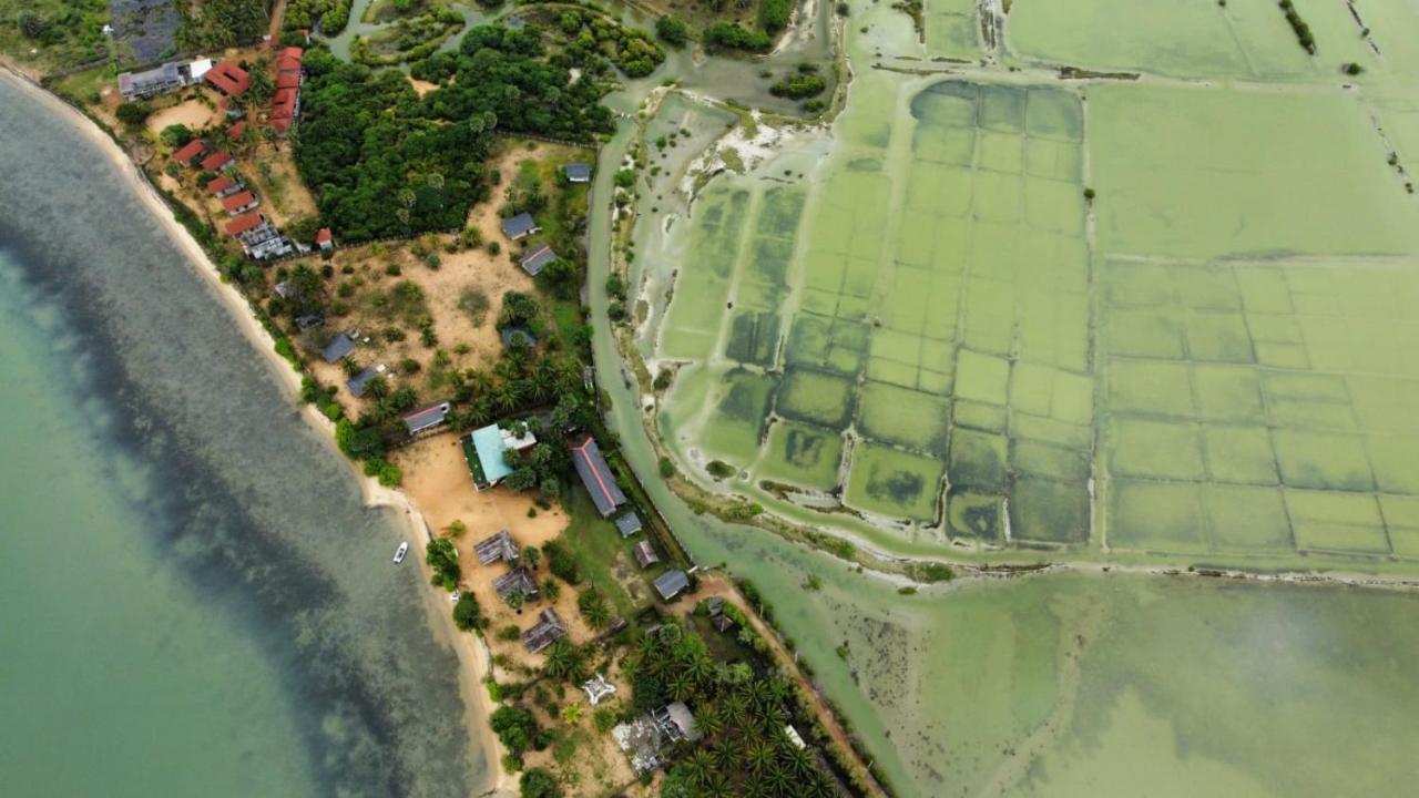 Araliya Villa คัลพิทิยา ภายนอก รูปภาพ