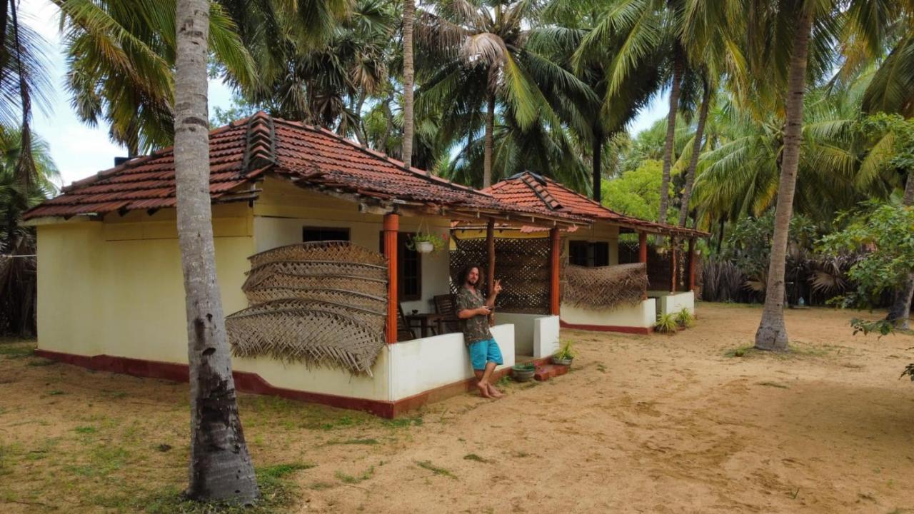 Araliya Villa คัลพิทิยา ภายนอก รูปภาพ