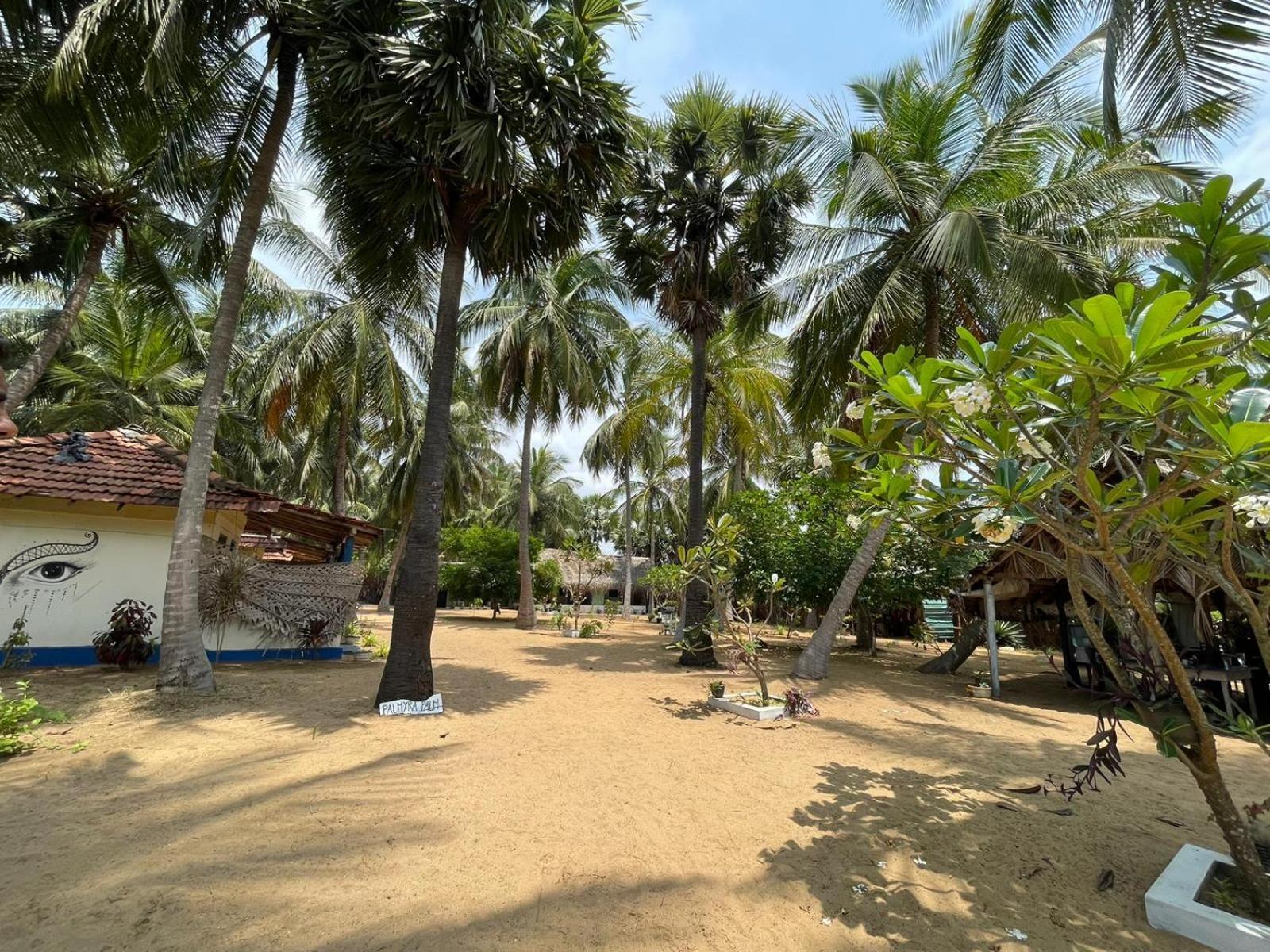 Araliya Villa คัลพิทิยา ภายนอก รูปภาพ