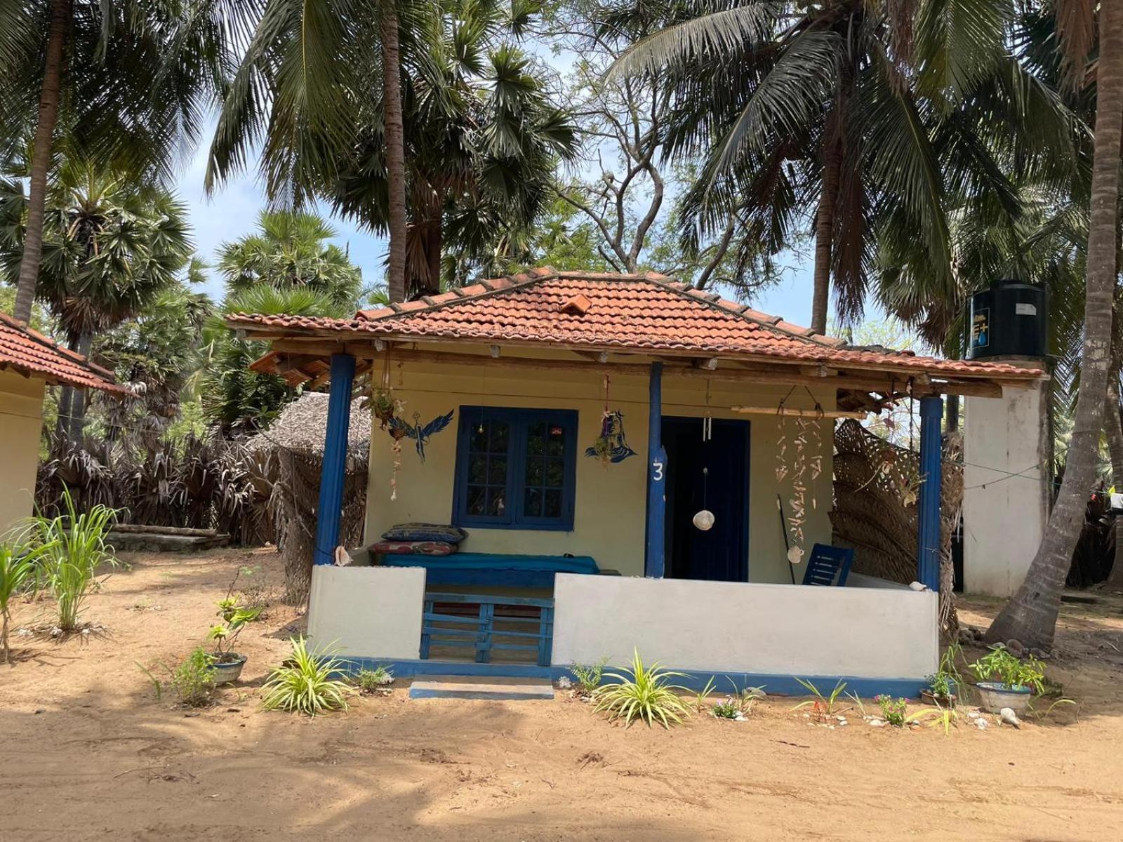 Araliya Villa คัลพิทิยา ภายนอก รูปภาพ