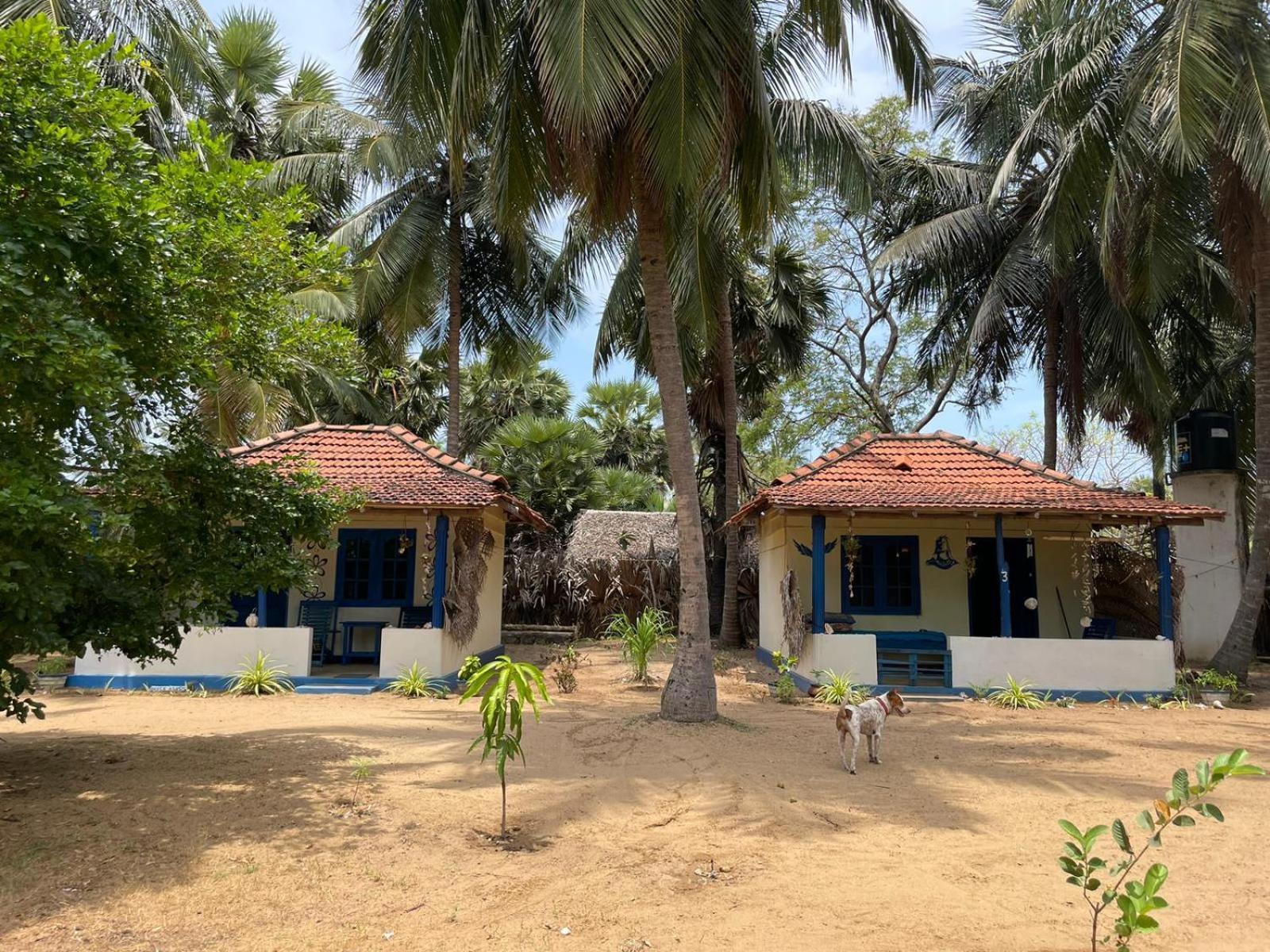 Araliya Villa คัลพิทิยา ห้อง รูปภาพ
